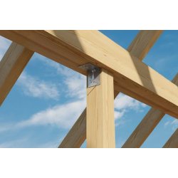 Beslagskrue 5,0X50MM (250Stk)