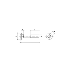 Brddebolte 10X100mm (2Stk) med mtrik